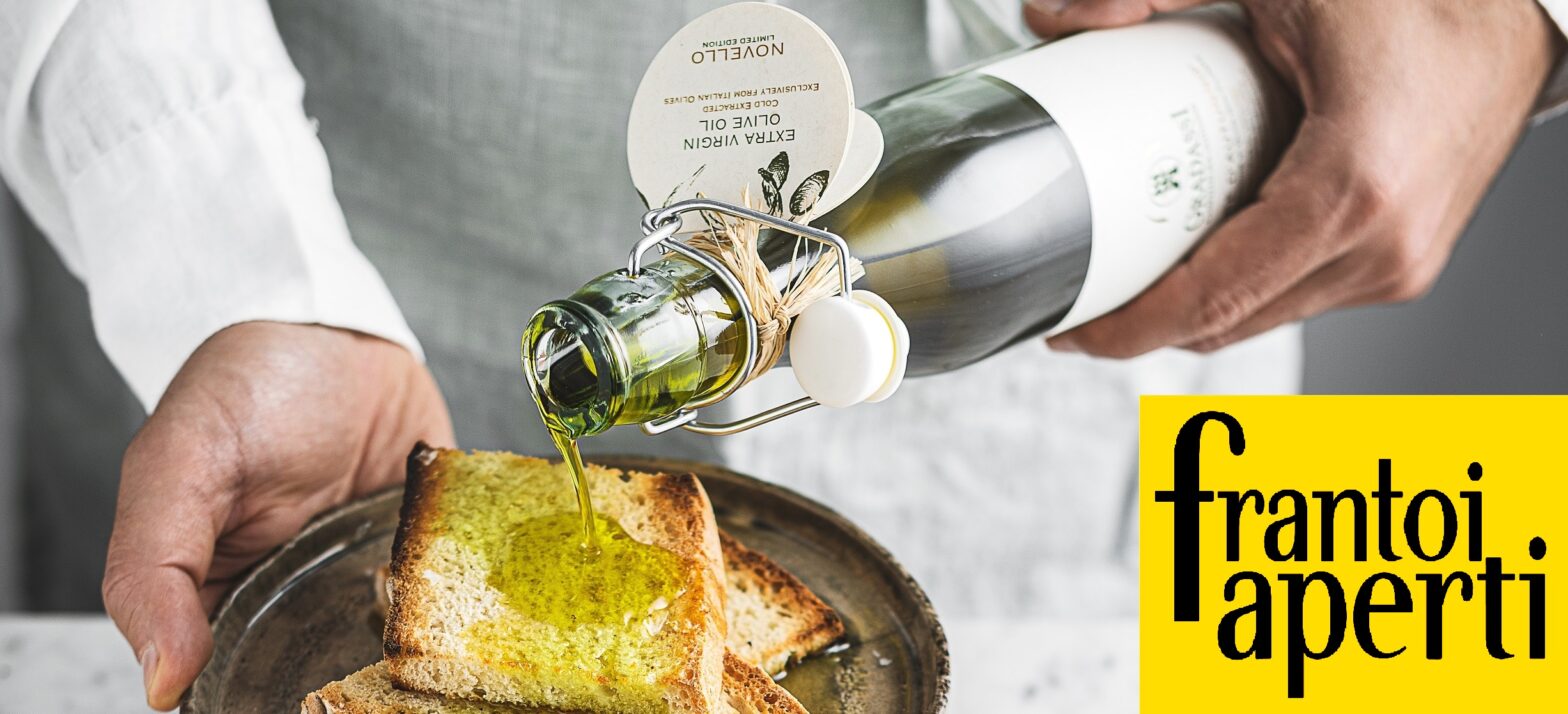 Frantoi Aperti olio extra vergine di oliva novello